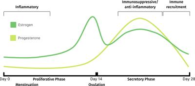 Importance of the endometrial immune environment in endometrial cancer and associated therapies